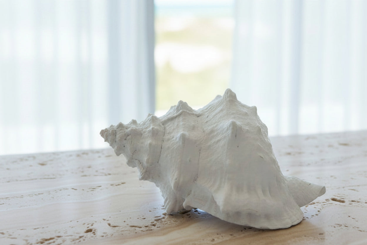 Ocean Echo Shell | XLarge