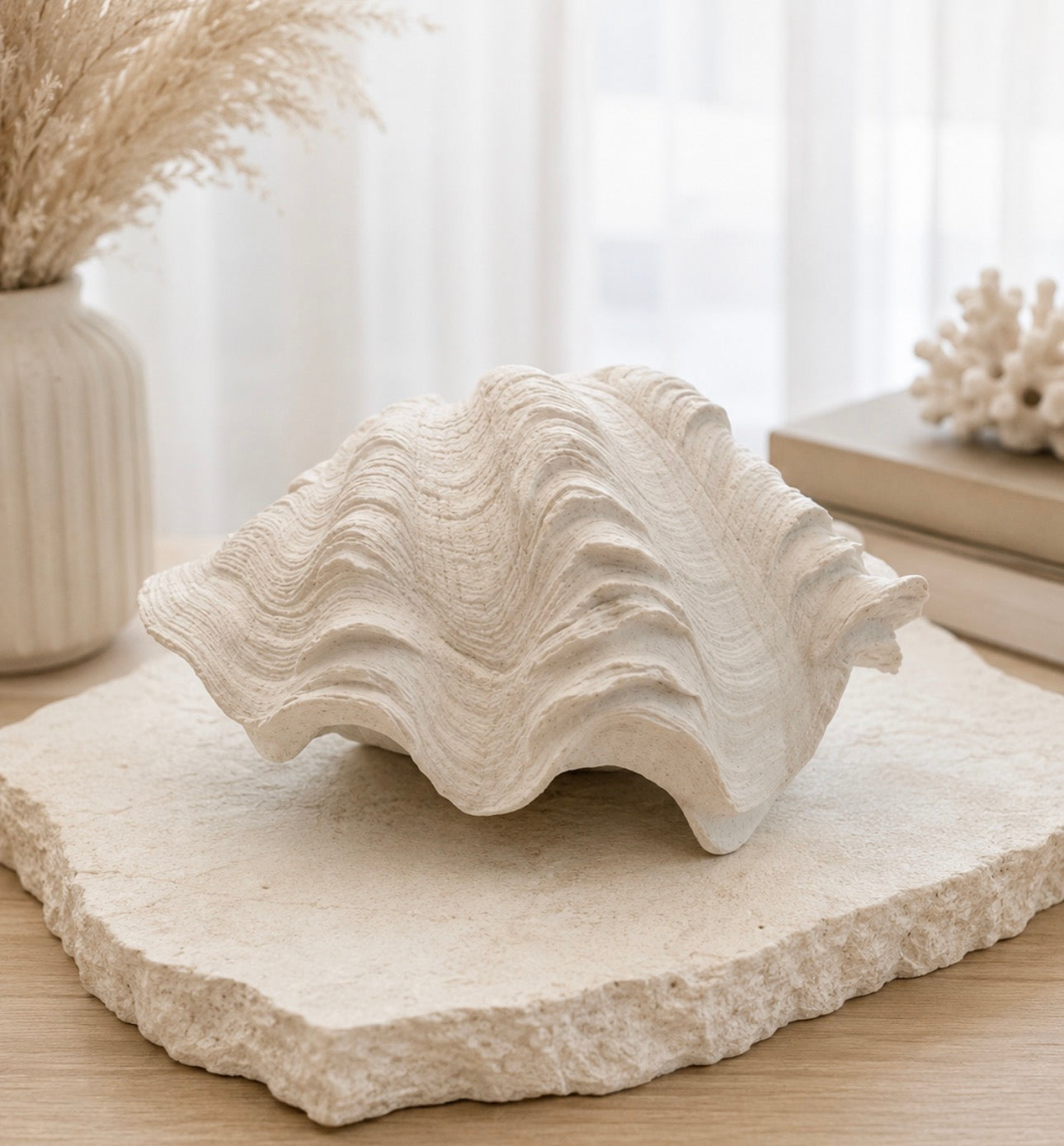 Coastal Cove Shell | X-Small