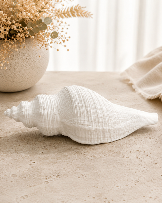 Coastal Drift Shell | Small