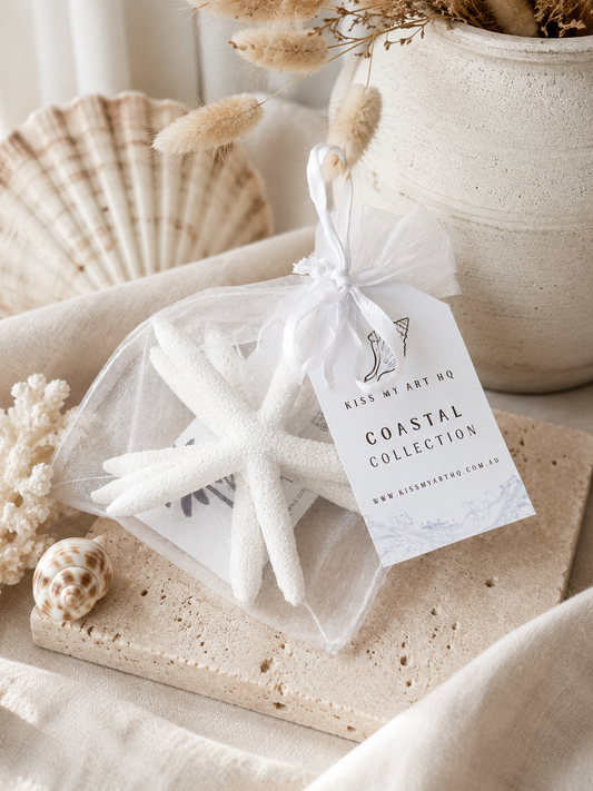 Starfish Collective | Decorative Starfish Trio