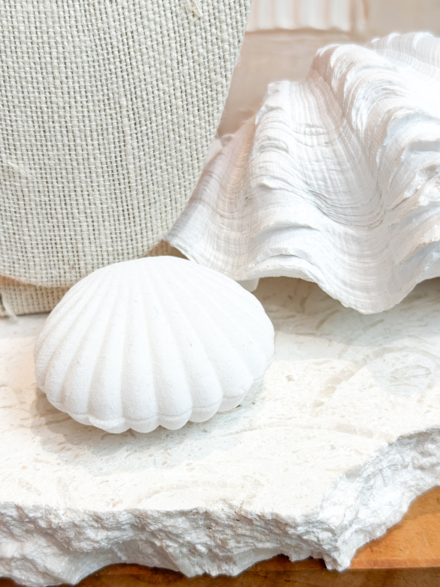 Seashell Kiss Ring | Silver