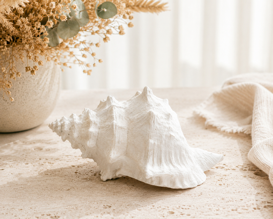 Ocean Echo Shell | XLarge